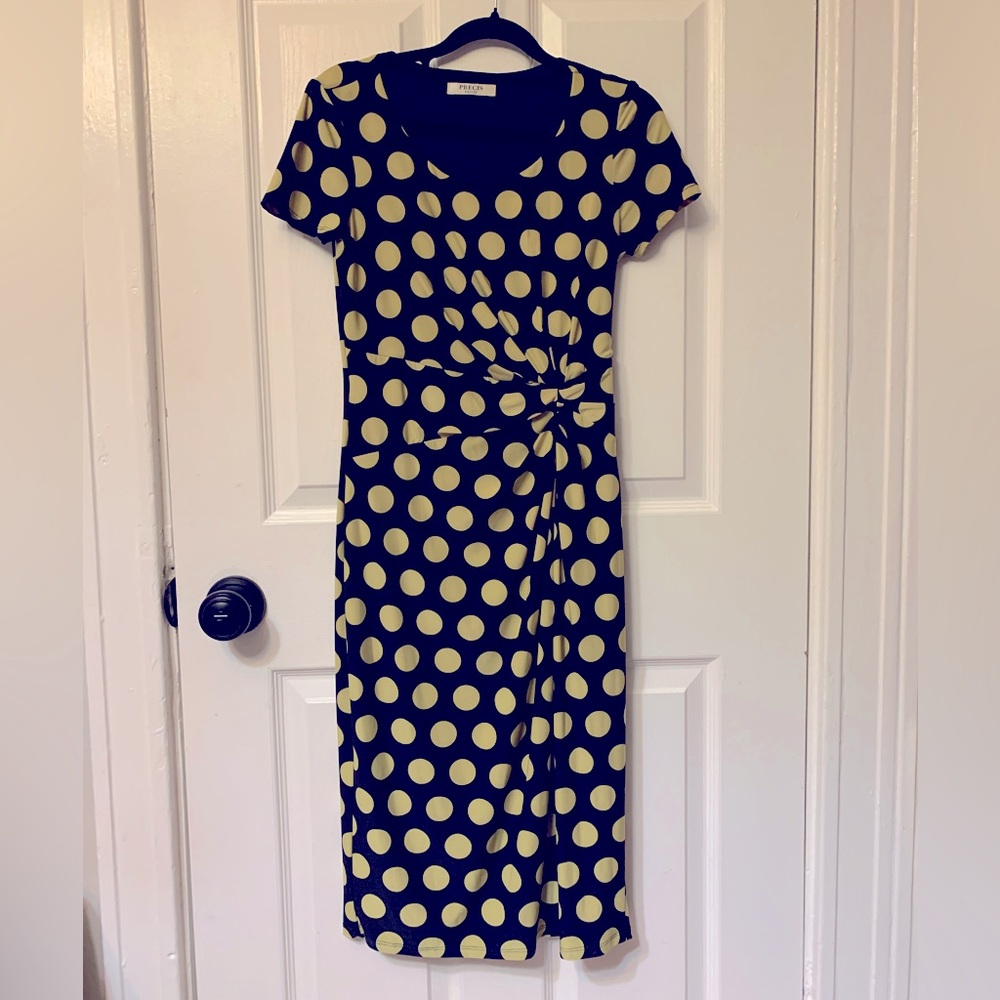 Precis Petite gorgeous retro look lined dress